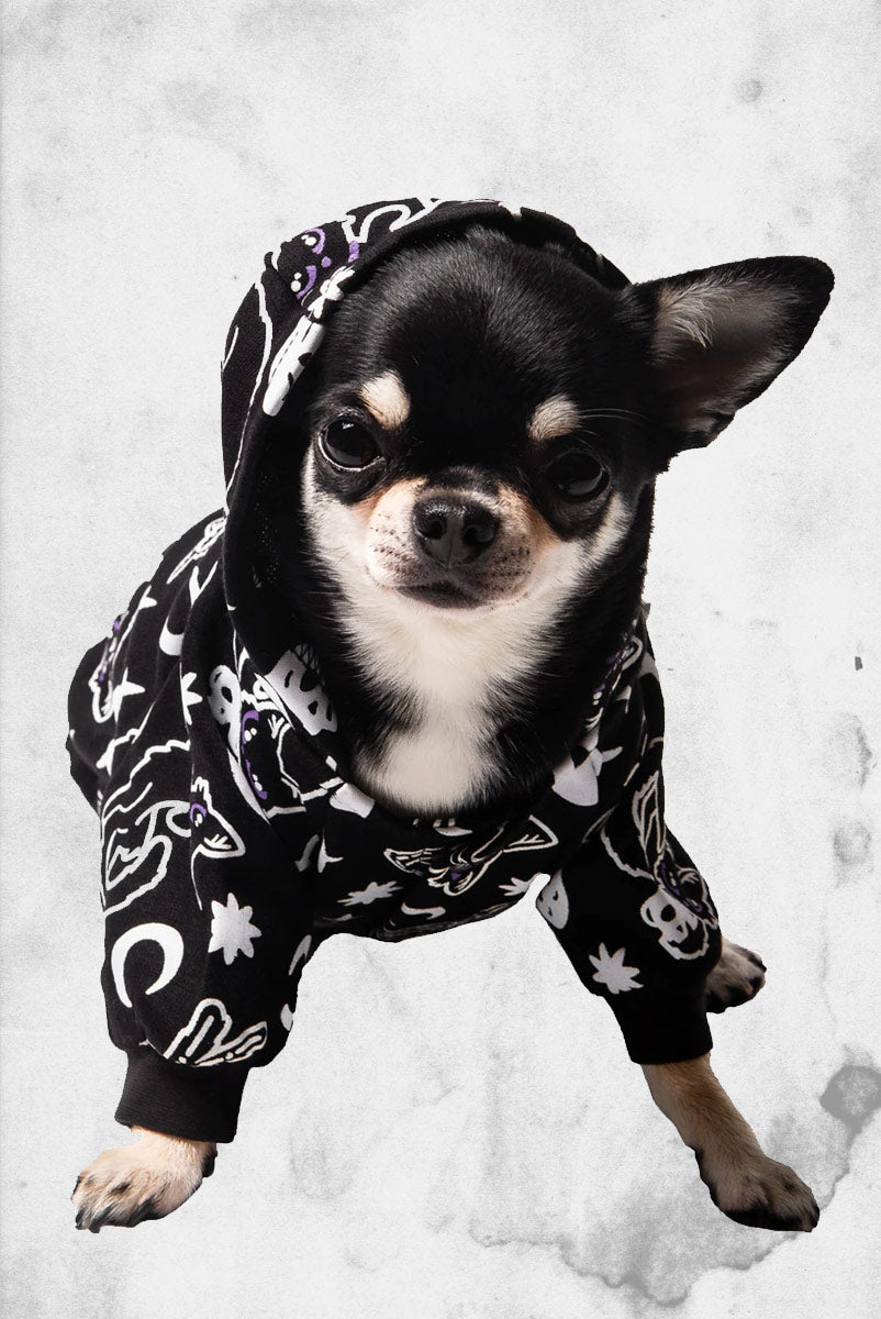 Goth hot sale dog clothes