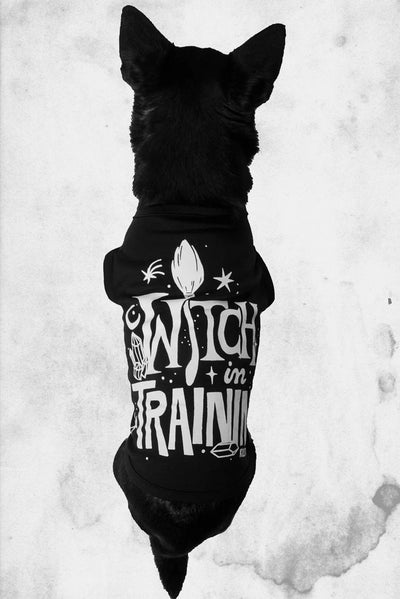 witch in training dog vest