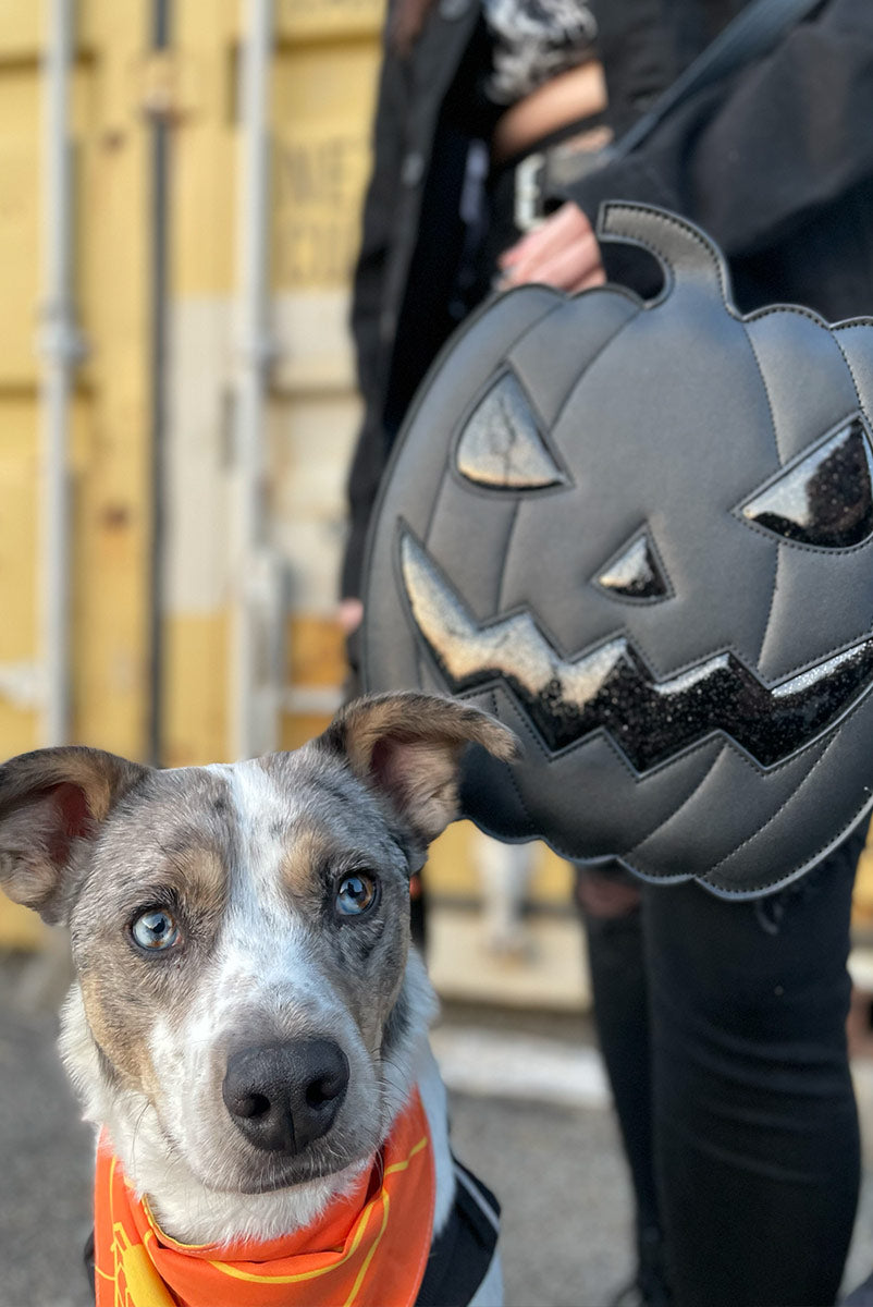 Shapeshifter - Midnight Jack Bag – Post Mortem Horror Bootique