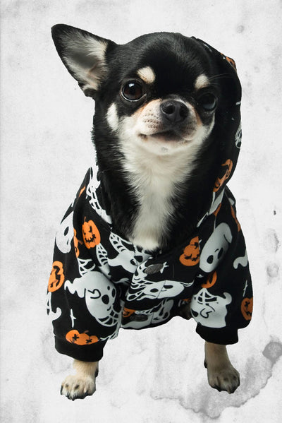 halloween pet hoodie outfit dog